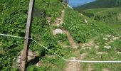 Tocht Stappen Fillière - ronceveau au col du freu 24 juin 19 - Photo 11