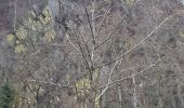 Trail Walking Stoumont - stpumont - froudcour aller via sentier corniche retour le long de l ambleve - Photo 19