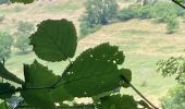 Trail Walking Marchamp - Cérin - Photo 2