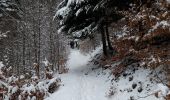 Trail Walking Saint-Amarin - 2020 02 12 Geishouse Hoehe_Chalet Edelweiss  - Photo 7