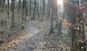 Tour Wandern Vuren - Teuven Dorp 14 Km - Photo 14