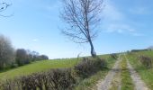 Randonnée Marche Theux - St Roch . Spixhe . Jevoumont . Hodbomont . vallee Wayot . Theux . St Roch - Photo 16