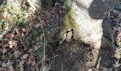 Tour Wandern Cournols - randol Geocaching - Photo 11