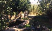Excursión Senderismo Lavatoggio - Lavatoggio sant’antonino  - Photo 11