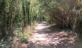 Trail Walking Argelès-sur-Mer - mss larrieu et le tech  - Photo 8