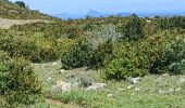 Trail Walking La Vacquerie-et-Saint-Martin-de-Castries - La Vacquerie St Guilhem  - Photo 4