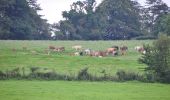 Percorso A piedi Mid Devon - Uffculme Village Trail - Photo 10