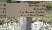 Trail Walking Fillière - SOUS DINE PAR LE PAS DU ROC - Photo 15