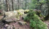 Trail Walking Saint-Dié-des-Vosges - Massif de l'Ormont et ses rochers remarquables - Photo 13