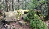 Percorso Marcia Saint-Dié-des-Vosges - Massif de l'Ormont et ses rochers remarquables - Photo 13