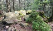 Randonnée Marche Saint-Dié-des-Vosges - Massif de l'Ormont et ses rochers remarquables - Photo 13