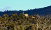 Excursión Senderismo Bormes-les-Mimosas - SityTrail - Barrage du Trapan - Estagnol - Pellegrin - Photo 17