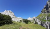 Randonnée Marche Lescun - Lac et cabane de l'Hurs - Photo 5