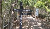 Tour Wandern Unknown - Peak Yeonsan  - Photo 17