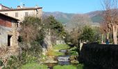 Percorso A piedi Calci - Percorso dei Monasteri - Photo 7