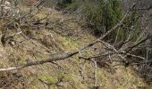 Trail  Orbey - Col du wettstein  lac noir lac blanc - Photo 2