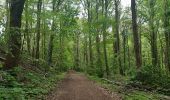 Tocht Stappen Maastricht - autour de la carrière Montagne St Pierre  - Photo 3