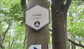 Trail Walking Herbeumont - L'Antrogne - Photo 1