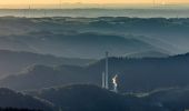 Tour Zu Fuß Werdohl - Kleinhammer Rundweg Vollquadrat - Photo 4