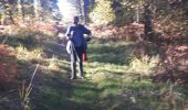 Tour Nordic Walking Sprimont - Banneux-20-11-2022 - Photo 2