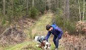 Trail Walking Neufchâteau - Bois d’Ospau avec Nafi - Photo 1
