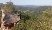 Tour Wandern Bundenthal - baerensteig bruchweiler baerenbach - Photo 8