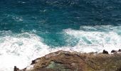 Randonnée Marche Le Moule - Porte d'Enfer - Anse Gros Morne - Photo 6