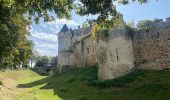 Tour Wandern Nogent-le-Rotrou - NOGENT LE ROTROU - Photo 2