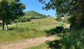 Trail Walking Menet - 20210614 Menet - Photo 11