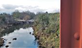 Tour Wandern Vidauban - Vidauban cascade et pont de fer de l'Aille - Photo 1