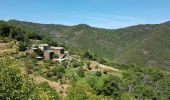 Excursión Senderismo Les Plantiers - coeur des cevennes - Photo 3