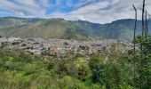 Trail Walking Baños de Agua Santa - Baños - Casa del Arbol - Photo 4