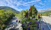 Trail Walking Les Houches - J6 - Servoz - La Cote - La Gouille du Bë - Photo 1