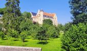 Tocht Stappen Château-Landon - Promenade à Château Landon et ses alentours - Photo 1