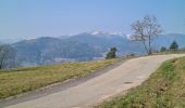 Excursión Senderismo Munster - Gunsbach & le sentier Schweitzer par Haslach - Photo 9