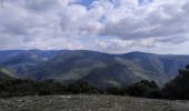 Tocht Te voet Pradelles-Cabardès - Pradelles,roc de l'aigle,cabrespine,pradelles - Photo 3