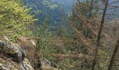 Trail Walking Stosswihr - Sentier des roches, hohneck, schiessrothried - Photo 9