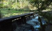 Randonnée Marche Nant - Sce du D'ourson Léa Cabanelles - Photo 15