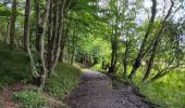 Trail Walking Herve - bolland . favechamps . la vaux . melen . bolland  - Photo 18