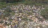 Trail Walking Cotignac - sommet du Bessillon - Photo 8