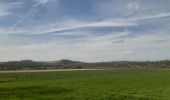 Trail Walking Oupeye - promenade au pays des macrales - Photo 5