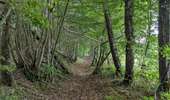 Trail Walking Toulon-sur-Arroux - RANDO_La_Croix_Des_Autrichiens - Photo 10