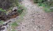 Randonnée Marche Jausiers - CASCADE DU PISSOUN ET VALLON DES TERRES PLAINES - Photo 9