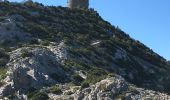 Tour Wandern Tautavel - Tautavel -Torre del Far - Photo 3
