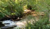 Tour Wandern Pontenx-les-Forges - PONTENX REALISÉ - Photo 10