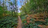 Excursión Senderismo Braine-Le-Comte - Marche Adeps à Hennuyères - Photo 10