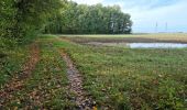 Randonnée Marche Chauffour-lès-Étréchy - Chauffour-lès-Etréchy Coteau des Verts Galants - Photo 8