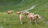 Tocht Te voet Breno - Gaver - Lago Nero - Photo 10