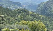 Tour Wandern Bonson - Plan du Var : Bosson-Revest les Roches - Photo 6