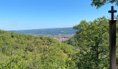 Trail Walking Mazamet - Mazamet passerelle  - Photo 2